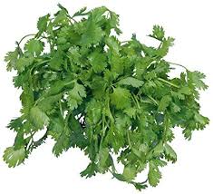 Pure Seasons Parsley 10g
