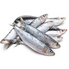 Sardines Fish Per Kg